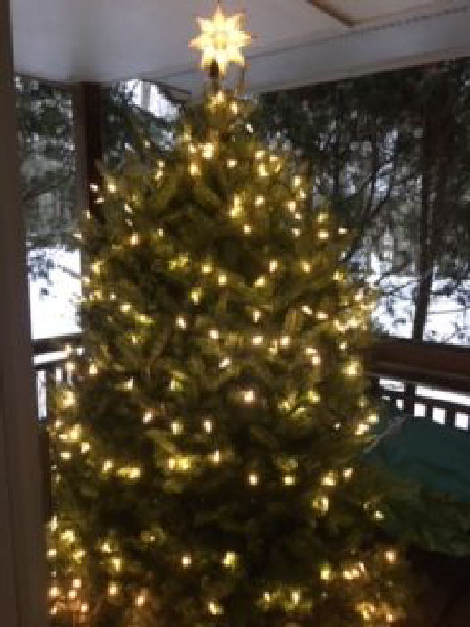 Merry Daley Christmas